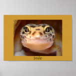 Smile Poster posters