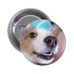 Smile! Sheltie button buttons