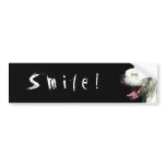 smile, smiling, humor, happy, happiness, smile,