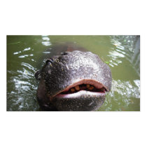 smile - you could look like me business cards