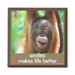 Smiles make life better magnet