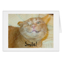 Smiley Cat cards by quinn301 Smiley Cat cards