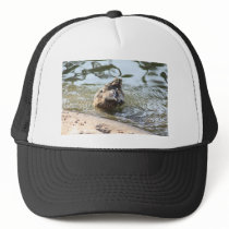 Smiley Duck Trucker Hat