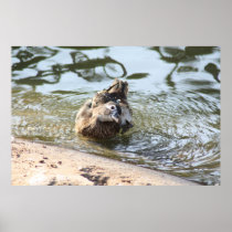 Smiley Duck Print
