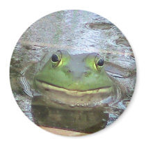 Smiley Frog Refrigerator Magnets