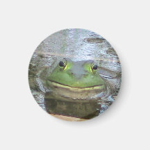 Smiley Frog Refrigerator Magnets