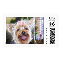 Smiley postage by cmcvicker Smiley postage
