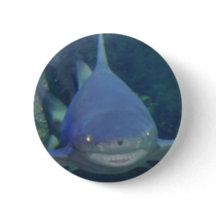 smiley shark book