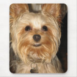 smiley yorkie mousepad