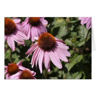 Smilimg flowers card