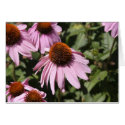 Smilimg flowers cards