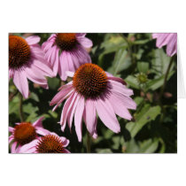 Smilimg flowers cards