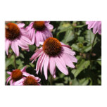 Smilimg flowers framed print Smilimg flowers framed print