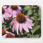 Smilimg flowers Smilimg flowers