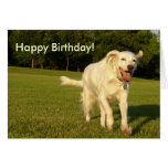 Smiling Angel, Happy Birthday! Greeting Card