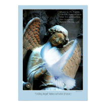 Smiling at a white dove posters by nefera Smiling at a white dove posters
