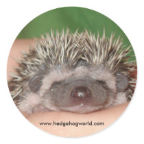 Smiling baby sticker