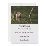 Smiling Beaver Personalized Announcement