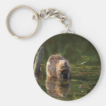 Smiling Beaver Keychain