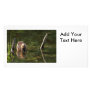 Smiling Beaver Custom Photo Card