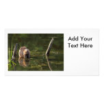 Smiling Beaver Custom Photo Card