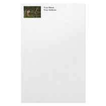 Smiling Beaver Custom Stationery