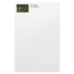 Smiling Beaver Custom Stationery