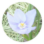 Smiling Blue Wildflower Stickers