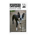 Smiling Boston Terrier stamp by puppydogs Smiling Boston Terrier stamp