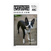 Smiling Boston Terrier stamp