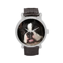 Smiling Boston terrier with collar Watches at Zazzle