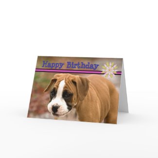 Smiling Boxer Dog Happy Birthday Greeting Card