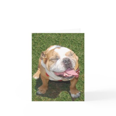 Smiling Bulldog Greeting Cards by malibuitalian