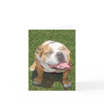 Smiling Bulldog cards by malibuitalian Smiling Bulldog cards
