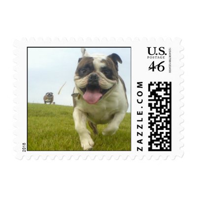 Smiling Bulldogs at the park Postage