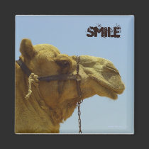 Smiling camel in profile  - camel in the desert magnets