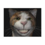 Smiling Cat Post Cards
