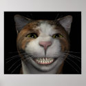 Smiling Cat print
