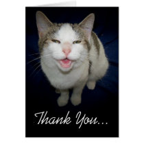 Smiling Cat Thank You Card cards