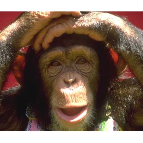Smiling Chimpanzee mousepad