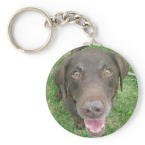 Smiling Chocolate Lab Keychain keychains
