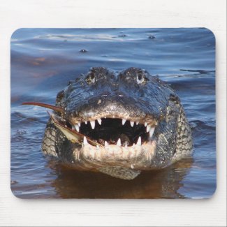 Smiling Crocodile mousepad