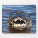 Smiling Crocodile Mousepad