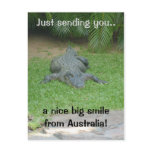 Smiling crocodile postcard