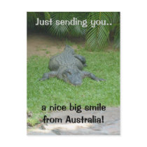 Smiling crocodile postcard