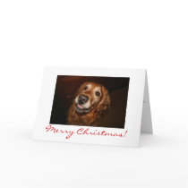 Smiling dog Merry Christmas cards by marlaazinger Smiling dog Merry Christmas cards