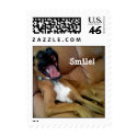smiling dog postage