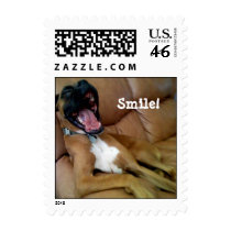 smiling dog postage