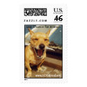 Smiling Dog postage by lastchanceforanimals Smiling Dog postage