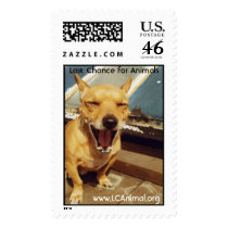 Smiling Dog postage by lastchanceforanimals Smiling Dog postage